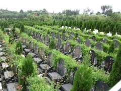 上海墓地谈公墓选择时候的几点重要要素