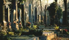 性价比高的墓地选购要掌握哪些因素？