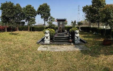 墓地通过栽树可以改变风水吗?