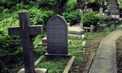 上海一级公墓都有哪些呢？上海一级公墓都有哪些优势？