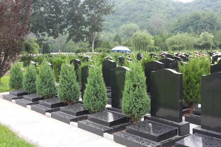 墓地使用年限大家了解多少，上海墓地使用年限是多久？