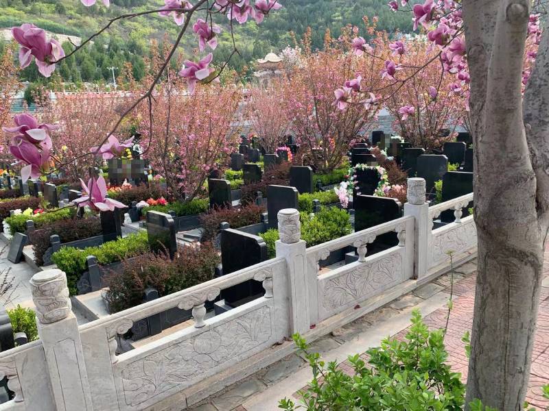 分享购买墓地要注意的风水事项有哪些?