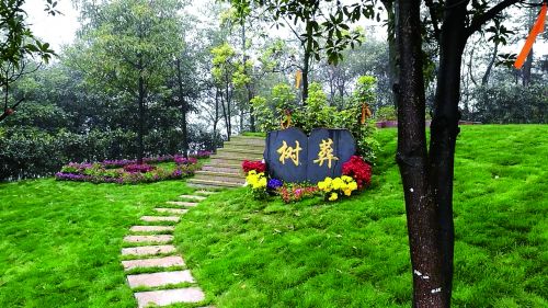 什么是树葬?上海生态葬还有哪些?
