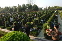 在上海购买墓地是否需要死亡证明？