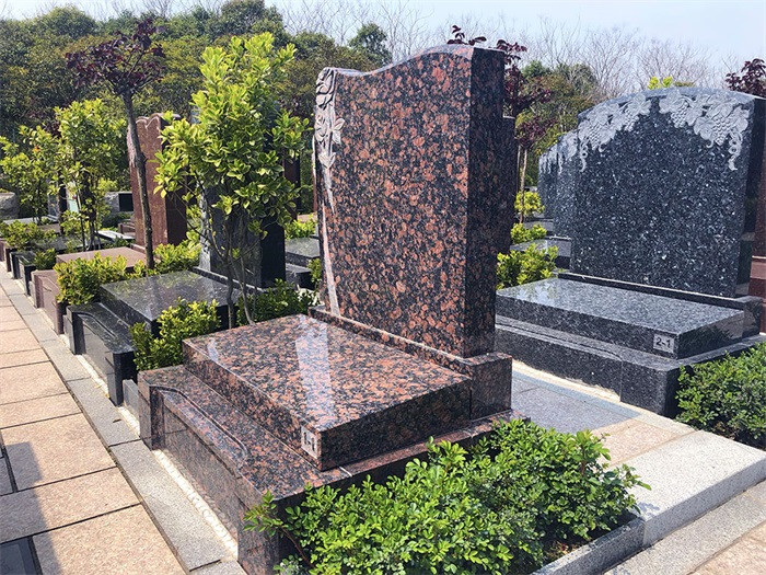 墓地旁种植什么树比较合适呢?