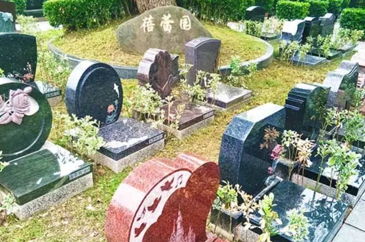 去参加葬礼悼念逝者送什么花比较好?